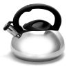 Camping Kitchen Office Use Stainless Steel Whistling Tea Kettle